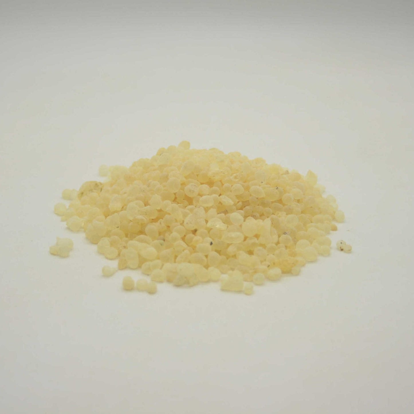 Mastic (Pistacia lentiscus)