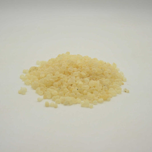 Mastic (Pistacia lentiscus)