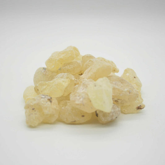 Dammar  (Shorea wiesneri)