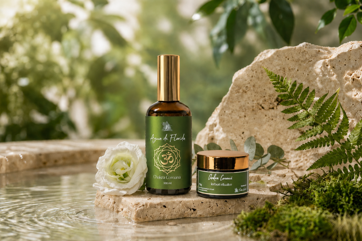 Set Chakra Coroana